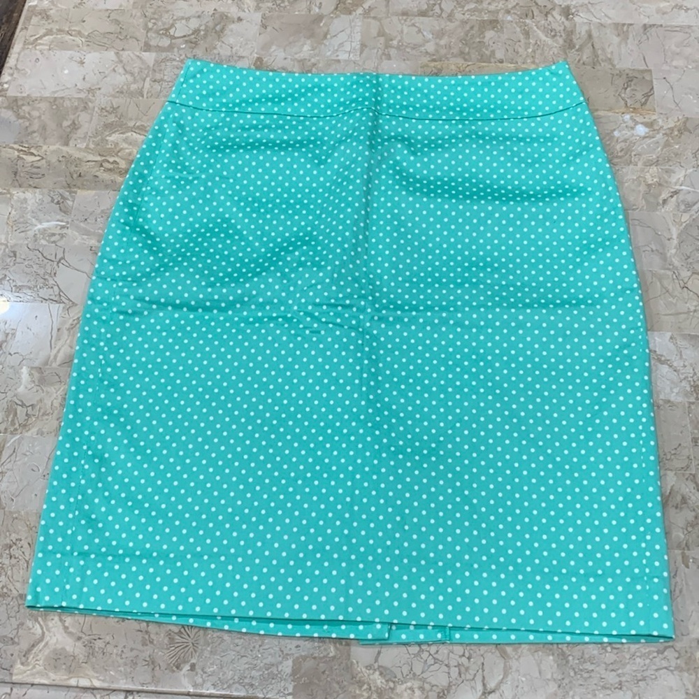 ❤️ Ann Taylor polkadot skirt